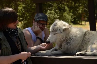 DSC_1657 (Large).JPG